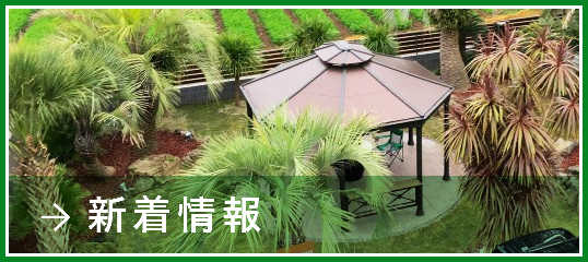新着情報